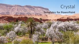  Presentation with almond - PPT theme having beautiful-landscape-with-almond-tree background and a light blue colored foreground