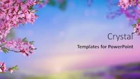  Presentation with beautiful spring flowers - PPT theme enhanced with beautiful-landscape-with-flowers-blooming background and a light blue colored foreground