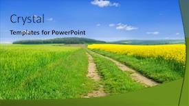  Presentation with rapeseed - Slide set consisting of beautiful landscape with green field and rapeseed divided by road background and a light blue colored foreground