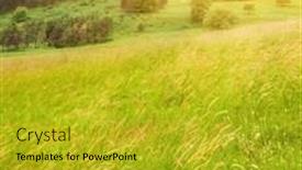  Presentation with green mountains - Colorful PPT layouts enhanced with beautiful landscape with green meadow in mountains in sunset backdrop and a gold colored foreground