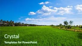  Presentation with crop - Slide set having beautiful landscape with green rice background and a forest green colored foreground