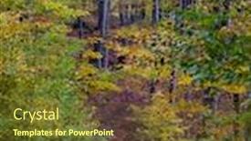  Presentation with pathway - Slides enhanced with beautiful-landscape-with-pathway background and a tawny brown colored foreground