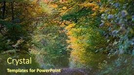  Presentation with pathway - Colorful PPT layouts enhanced with beautiful-landscape-with-pathway backdrop and a tawny brown colored foreground