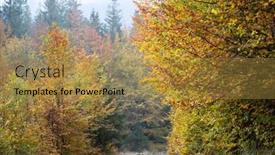  Presentation with pathway - Presentation design consisting of beautiful-landscape-with-pathway background and a gold colored foreground