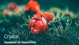  Presentation with transylvania - Amazing presentation design having beautiful-landscape-with-steppe-peonies backdrop and a ocean colored foreground