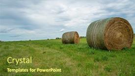  Presentation with straw bale - Audience pleasing PPT theme consisting of beautiful-landscape-with-straw-bales backdrop and a tawny brown colored foreground