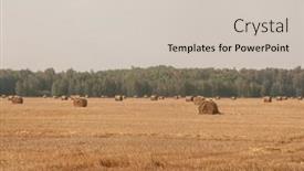  Presentation with end - Presentation theme having beautiful-landscape-with-straw-bales background and a soft green colored foreground