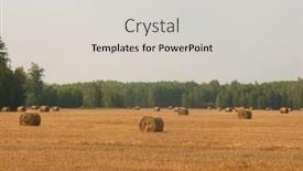  Presentation with end - PPT theme enhanced with beautiful-landscape-with-straw-bales background and a light gray colored foreground