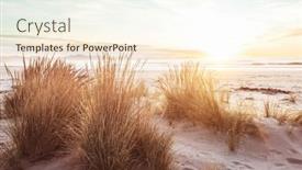  Presentation with beautiful landscapes - PPT layouts enhanced with beautiful-landscapes-it-the-ocean background and a cream colored foreground
