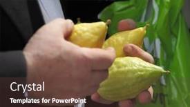  Presentation with jewish - PPT layouts consisting of beautiful-large-male-hands-hold background and a tawny brown colored foreground