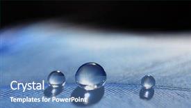  Presentation with blue drops - Theme enhanced with beautiful large water dew drops background and a teal colored foreground