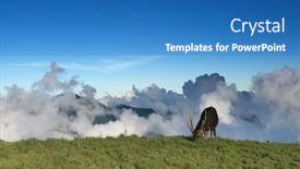  Presentation with sambar - Audience pleasing slides consisting of clouds which is a sambar backdrop and a teal colored foreground