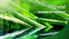  Presentation with water leaf - Amazing slide deck having beautiful leaf covered by dew and sun mirroring in the water backdrop and a shamrock green colored foreground