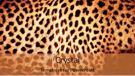  Presentation with african pattern - Amazing slides having beautiful leopard skin background natural backdrop and a gold colored foreground