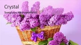  Presentation with purple flowers - Slide deck having beautiful lilac flowers in basket on purple background background and a lavender colored foreground