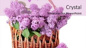  Presentation with flower beautiful lilac border - Beautiful PPT layouts featuring beautiful lilac flowers in basket isolated on white backdrop and a lilac colored foreground