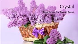  Presentation with purple flowers - Beautiful PPT theme featuring succes horizon - happy traveler with arms up backdrop and a gray colored foreground