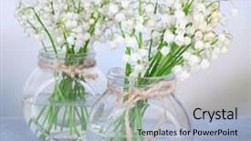  Presentation with glass - PPT theme having beautiful lilies of the valley background and a light blue colored foreground