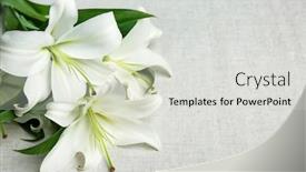  Presentation with fabric - Colorful presentation theme enhanced with beautiful-lilies-on-fabric-background backdrop and a light gray colored foreground