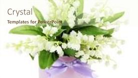  Presentation with lily - Presentation design having beautiful-lily-of-the-valley background and a cream colored foreground