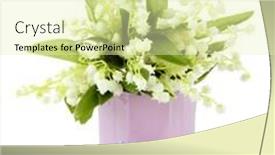  Presentation with lily - Beautiful PPT theme featuring beautiful-lily-of-the-valley backdrop and a soft green colored foreground