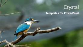  Presentation with blue orange - Presentation theme with beautiful-little-blue-and-orange background and a  colored foreground