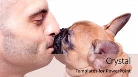  Presentation with puppy - Presentation enhanced with beautiful little french bulldog puppy background and a coral colored foreground