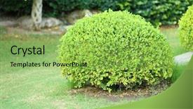  Presentation with soil shovel in the garden - Slides enhanced with beautiful lush bushes in garden background and a yellow colored foreground