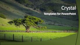  Presentation with beautiful midnight sun over - Slide set consisting of beautiful lush green sunlit cypress background and a dark gray colored foreground