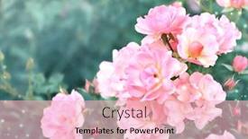  Presentation with wedding card - Cool new slides with beautiful-magic-scene-with-pink backdrop and a lemonade colored foreground