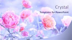  Presentation with magenta - Beautiful PPT theme featuring beautiful-magic-winter-scene backdrop and a sky blue colored foreground
