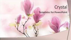  Presentation with magnolia - Amazing presentation design having beautiful magnolia flowers in morning backdrop and a lemonade colored foreground