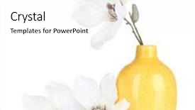  Presentation with magnolia - Amazing presentation design having beautiful magnolia in vase isolated on white backdrop and a white colored foreground