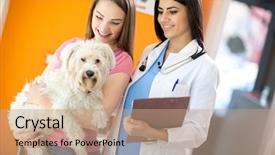  Presentation with therapy dog - Slide set featuring pet therapy - female owner with her beautiful background and a seafoam green colored foreground