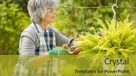  Presentation with garden - Slide set featuring beautiful mature woman taking care background and a  colored foreground