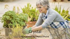  Presentation with garden - Amazing PPT theme having beautiful mature woman taking care backdrop and a coral colored foreground