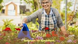  Presentation with greenhouse - Audience pleasing presentation theme consisting of beautiful mature woman in a greenhouse watering flowers backdrop and a red colored foreground