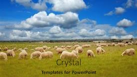  Presentation with livestock - Slide deck enhanced with beautiful-meadow-with-free-livestock background and a gold colored foreground