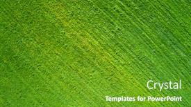  Presentation with meadow - Cool new slide deck with beautiful-meadow-with-yellow-flowers backdrop and a tawny brown colored foreground