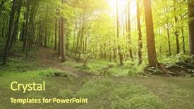  Presentation with green forest morning - Cool new slide set with beautiful morning green forest backdrop and a tawny brown colored foreground