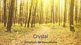  Presentation with forest morning - Presentation design featuring beautiful morning in the misty autumn forest with sun rays background and a yellow colored foreground