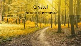  Presentation with forest morning - Audience pleasing slide deck consisting of beautiful morning in the misty autumn forest with sun rays backdrop and a gold colored foreground