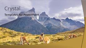  Presentation with mountain hiking - Amazing slide set having beautiful-mountain-landscapes-and-guanaco backdrop and a light blue colored foreground