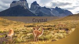  Presentation with beautiful landscapes - Presentation design featuring beautiful-mountain-landscapes-in-torres background and a gold colored foreground