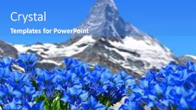  Presentation with gentian - Amazing PPT theme having beautiful mountain matterhorn with blooming gentian pennine alps switzerland backdrop and a teal colored foreground