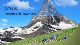  Presentation with gentian - Theme featuring beautiful mountain matterhorn in the foreground blooming gentian pennine alps switzerland background and a light blue colored foreground