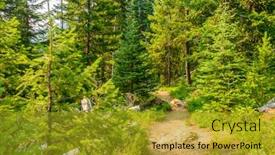  Presentation with british columbia - PPT layouts having beautiful mountain trail lightning lake trail at manning park in british columbia canada background and a gold colored foreground