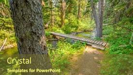  Presentation with british columbia canada - PPT layouts having beautiful mountain trail lightning lake trail at manning park in british columbia canada background and a tawny brown colored foreground