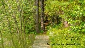  Presentation with british columbia canada - Audience pleasing slide deck consisting of beautiful mountain trail lightning lake trail at manning park in british columbia canada backdrop and a gold colored foreground