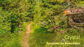  Presentation with british columbia - Cool new PPT layouts with beautiful mountain trail lightning lake trail at manning park in british columbia canada backdrop and a tawny brown colored foreground